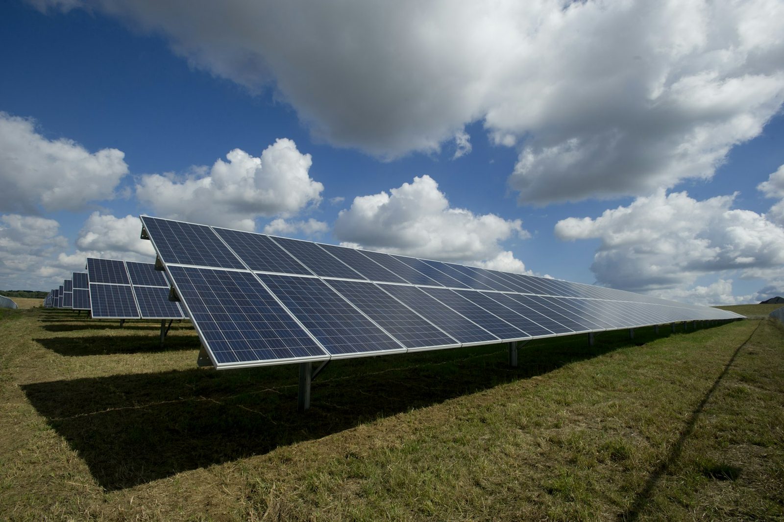 Rows of solar panels across a green field under a bright sky